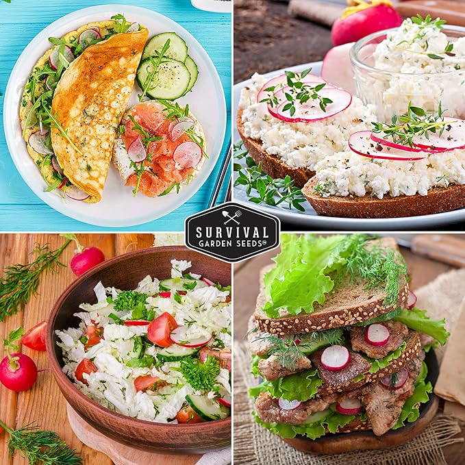 Survival Garden Seeds - Champion Radish Seed for Planting - Packet with Instructions to Plant and Grow Red Radishes in Your Home Vegetable Garden - Non-GMO Heirloom Variety Vegetable Seed