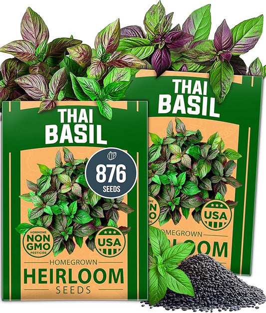 HOME GROWN Thai Basil Seeds Pack - 876 High Germination Non-GMO Heirloom Herb Seeds for Planting, Ideal for Growing Fresh Basil Planting Indoor or Outdoor (Ocimum basilicum VAR. thyrsiflora)