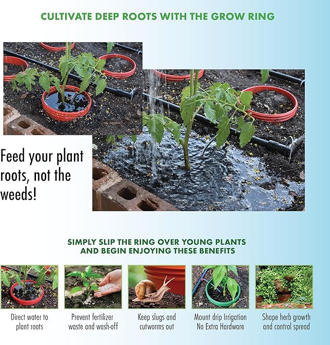 Beans Garden Kit with Grow Rings, Greenhouse Germination Domes, Seeds, Markers, Instructions – Gardening Gift for Mom, Teachers, Women, and Men – Made in USA