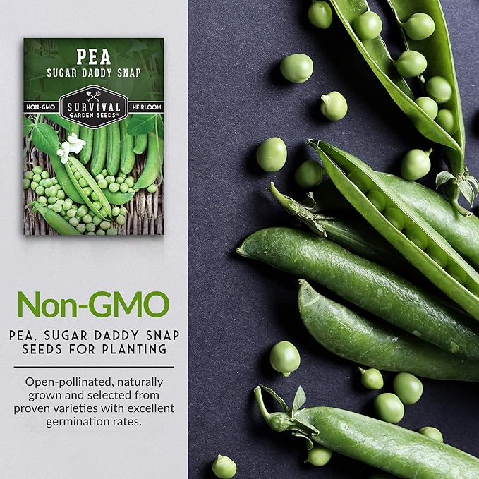 Survival Garden Seeds - Sugar Daddy Snap Pea Seed for Planting - 3 Packs with Instructions to Plant and Grow in Delicious Pea Pods Your Home Vegetable Garden - Non-GMO Heirloom Variety