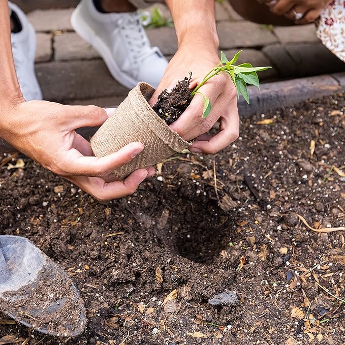 Hapinest Indoor Hot and Spicy Pepper Garden Seed Starter Growing Kit Gardening Gifts for Men and Women - Jalapeno, Habanero, Hungarian Yellow Wax, Ghost, and Cayenne