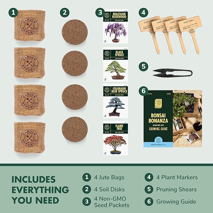 Bonsai Tree Seed Starter Kit - Mini Bonsai Plant Growing Kit, 4 Types of Seeds, Potting Soil, Jute Bags, Pruning Shears Scissor Tool, Plant Markers, Wood Gift Box, Day Gardening Gifts for Women
