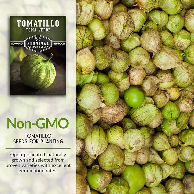 Survival Garden Seeds - Toma Verde Tomatillo Seed for Planting - 5 Packs with Instructions to Plant & Grow Green Salsa Vegetables in Your Home Vegetable Garden - Non-GMO Heirloom Variety