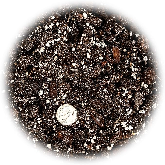 Professional Succulent Soil Premium All Purpose Blend | Pre-Mixed Ready to Use for Cactus and Succulents | Sphagnum Peat Moss, Perlite, New Zealand Pine Bark - Made in USA - 1 Quart