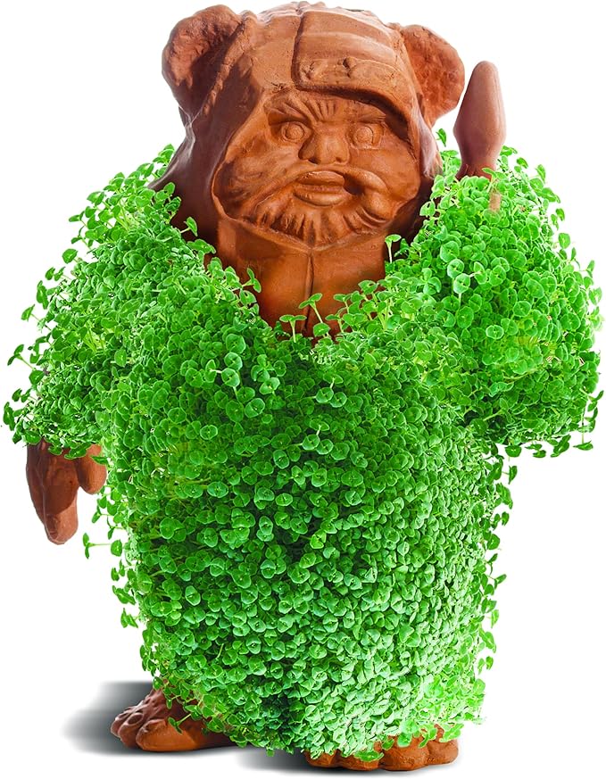 Chia Pet Star Wars Ewok with Seed Pack, Decorative Pottery Planter, Easy to Do and Fun to Grow, Novelty Gift, Perfect for Any Occasion