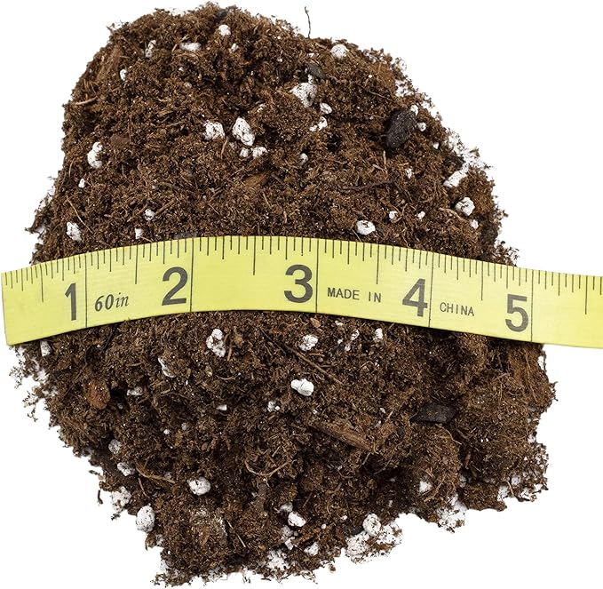 Premium Fiddle Leaf Fig Tree Soil (12 Quarts) - Expert Formula for Vibrant Growth - Nutrient-Rich Potting Mix, Specifically Designed for Healthy Indoor, Outdoor, and Potted Fiddle Fig Plants