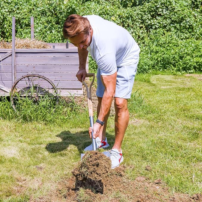 Berry&Bird Shovels for Digging, 43’’ Round Spade Heavy Duty Shovel with Wooden D Handle Stainless Steel Snow Shovel Garden Shovel Yard for Transplanting & Outdoor