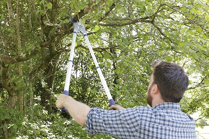 Spear & Jackson 8290RS Razorsharp Heavy Duty Telescopic Ratchet Anvil Loppers, Multicoloured