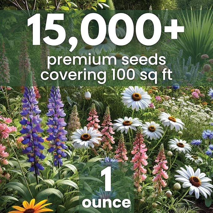 Perennial Species Mix - Large 1 Ounce Packet - 15,000 Flower Seeds for Planting - Wildflower Mix