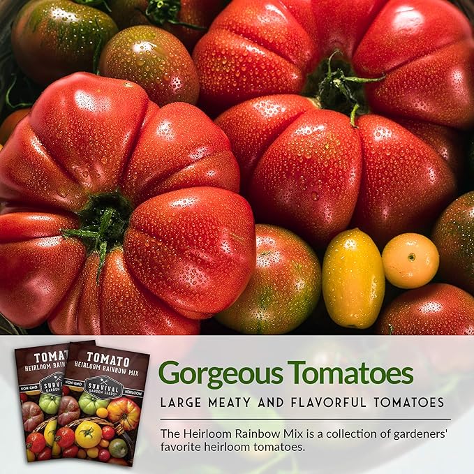 Survival Garden Seeds - Heirloom Rainbow Mix Tomato Seed for Planting - Packet with Instructions to Plant & Grow in Your Home Vegetable Garden - Non-GMO Heirloom Rainbow Tomato Seeds Variety Pack