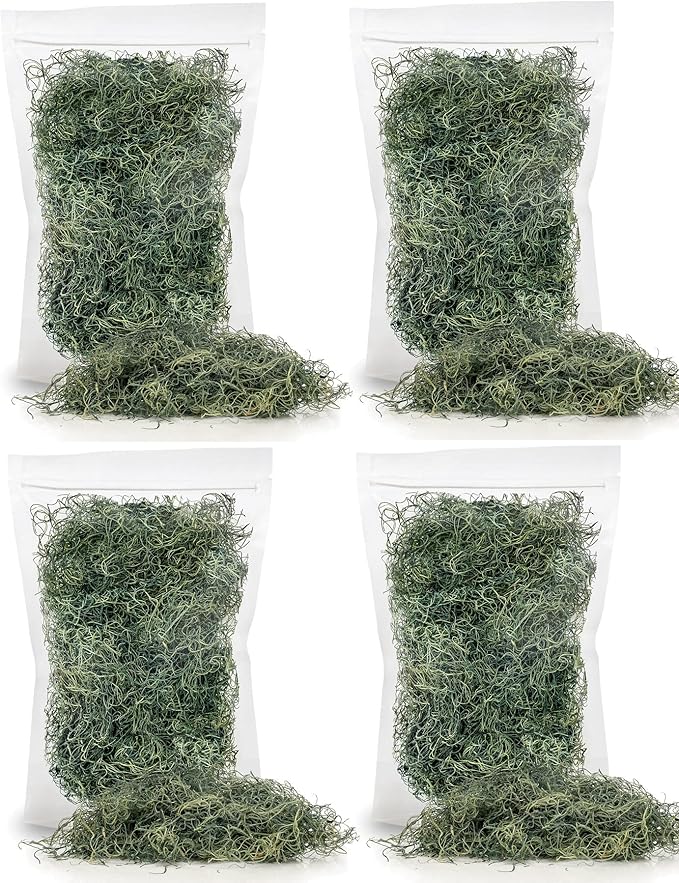 Premium Spanish Moss in Basil| Natural Preserved - Great Ground Cover - Filler for Potted Plants - by GARDENERA - 2 Quart Bag