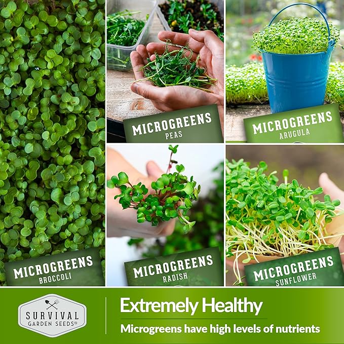 Survival Garden Seeds Microgreens 10 Pack (Seeds Only) - Instructions to Plant and Grow a Mix of Microgreen Plants - Arugula, Broccoli, Radish, Pea, Sunflower, Alfalfa, Cabbage, Buckwheat, Kale, Beet