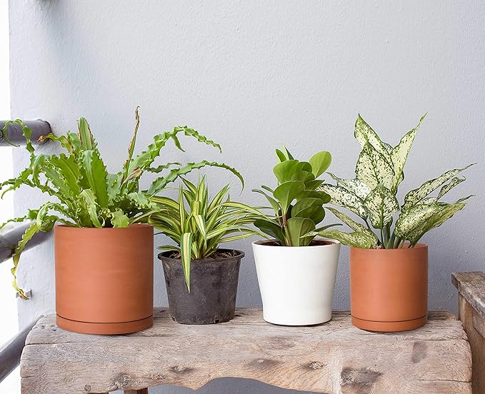 D'vine Dev Terracotta Pots for Plants, 5.3 Inch 6.5 Inch 7.8 Inch, Round Cylinder Planter Pot with Drainage and Saucer, 40-T-B-0