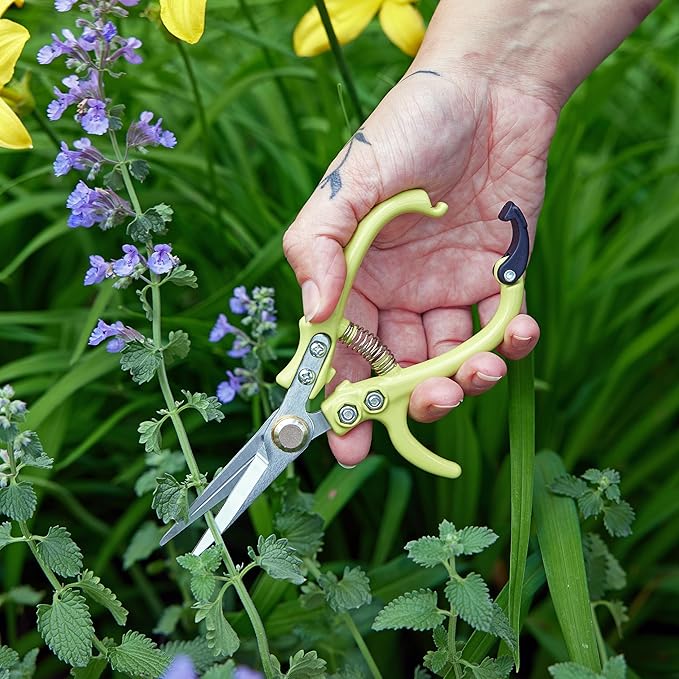 Modern Sprout Pruning Shears for Gardening, Herb Snips, Flower Cutting Scissors, Indoor Plant Shears, Lightweight, Ergonomic, Carbon Steel Blade, Easy-Lock Safety, Aesthetic (Chartreuse)