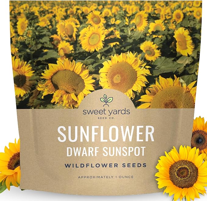 Dwarf Sunspot Sunflower - Large 1 Ounce Packet - 1,250 Flower Seeds for Planting - Helianthus annuus