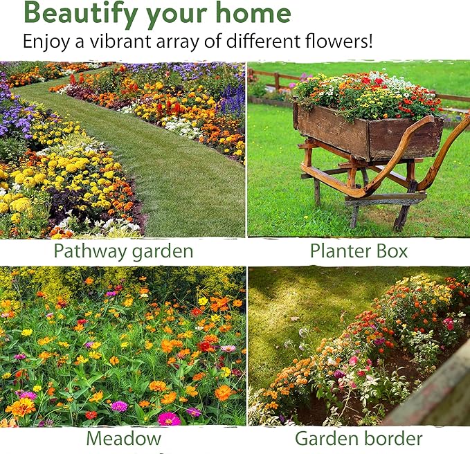 HOME GROWN Wildflower Seeds - 2oz Bulk Perennial Wild Flower Seeds Mix - Flower Garden Seeds for Attracting Bees, Birds & Butterflies - 24 Variety Plant Seeds for Planting Outdoor Garden