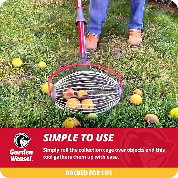 Garden Weasel Nut Gatherer - Large Cage | Pick Up Walnuts, Small Apples, Citrus Fruits, Tennis Balls | Nut Collector and Picker Upper Roller with Cage Spreader | 95404