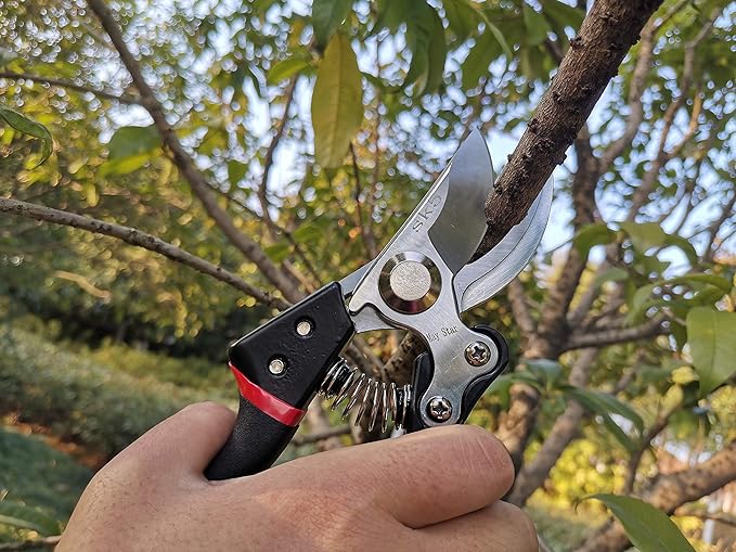 May Star Pruning Shears(MSPS-J006), Professional Pruning Shears,Perfect for Fence and Garden,SK5 Steel Blade, Size of The Opening 1.9 Inch
