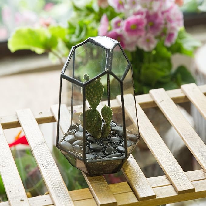 NCYP Small Geometric Terrarium - 4.1" x 3.5" x 5.9" Miniature Irregular Glass Terrarium Planter for Succulent Air Plants - Tabletop Garden Display Container, Black (No Plants, No Door)