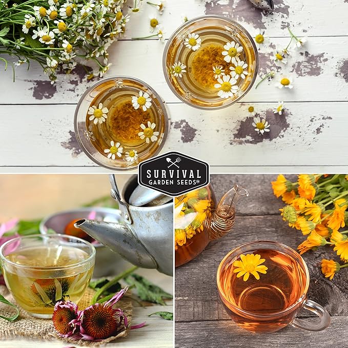 Medicinal Tea Seeds Collection - 9 Non-GMO Heirloom Herbs to Grow in The Garden - Chamomile, Lavender, Echinacea, Catnip, Lemon Balm, Marigold, Sage, Peppermint, White Yarrow - Survival Garden Seeds