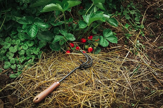 Barebones Cultivator - Weed Remover Tool - Garden Rake and Weeding Tool for Yard Work - Stainless Steel Cultivator for Raking Soil (Walnut/Black)