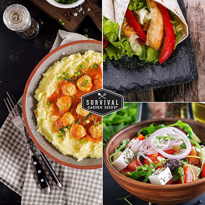 Survival Garden Seeds - Beefsteak Tomato Seed for Planting - Packet with Instructions to Plant and Grow Delicious Tomatoes in Your Home Vegetable Garden - Non-GMO Heirloom Variety - 2 Pack