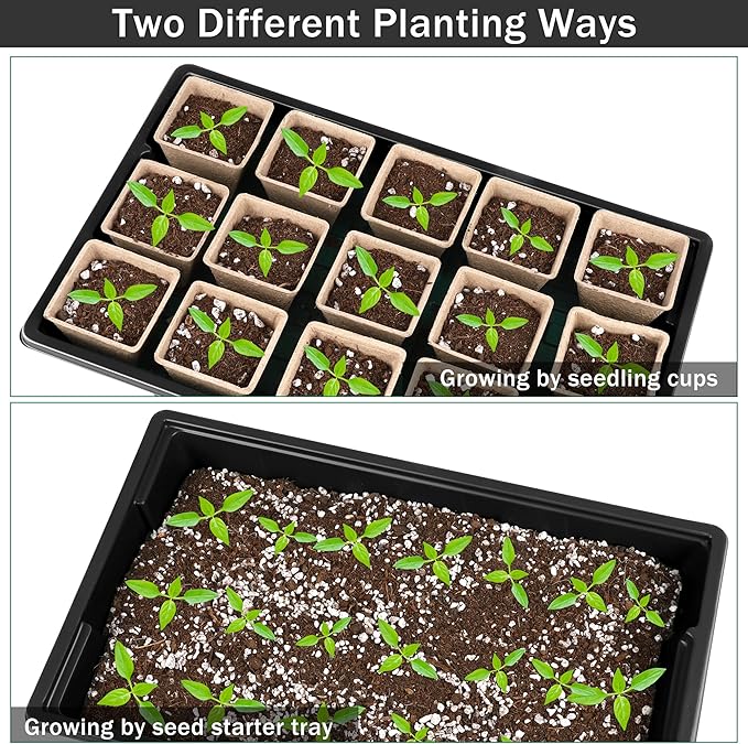 6 Pack Seed Starter Tray Kit with 120 Square Peat Pots for Seedlings, Including Plants Labels, Planting Tools, Growing Trays Plastic Germination Tray Paper Starter Pods for Plant Seeds, Black