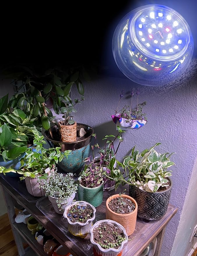 2 Pack E12 Small Candelabra Base LED Grow Light Bulbs Full Spectrum, 12W Sun Grow Plant Light Bulb 100w Equivalent, Balanced Spectrum 5000K Red Blue Grow Bulb for Flower, Seed Starting, Indoor Growing