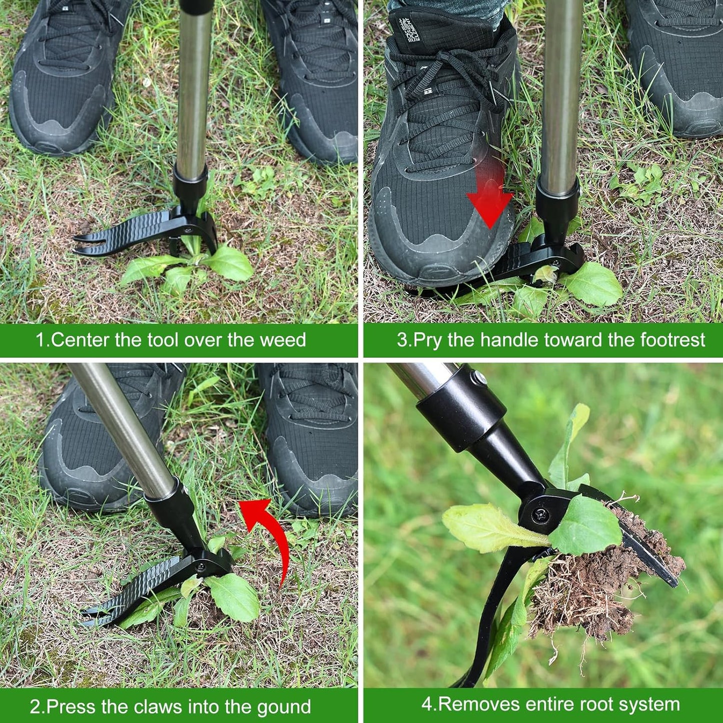 Weed Puller Tool, Lightweight, 4-Claw Stand Up Weeder Tool with Adjustable Handle for Remove Weeds Without Bending or Kneeling, Easily Remove Dandelions, Thistles, Plantain, Crabgrass.