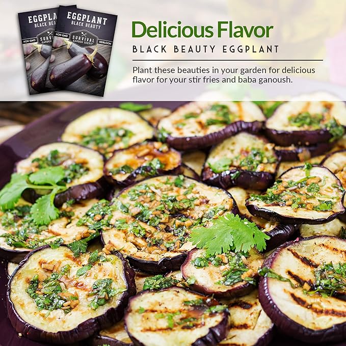 2 Packs Black Beauty Eggplant Seed for Planting - Packet with Instructions to Grow Purple Aubergine Plants in Your Home Vegetable Garden - Non-GMO Heirloom Variety - Survival Garden Seeds