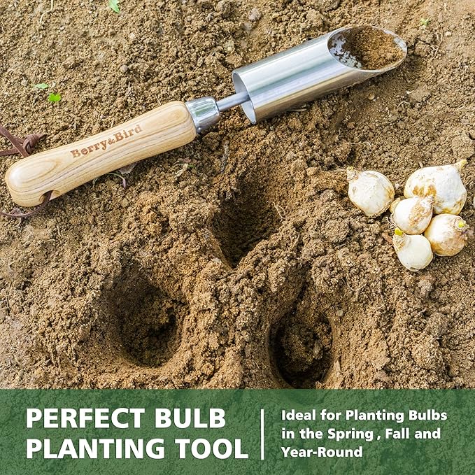 Berry&Bird Bulb Planter Tool, 12" Garden Bulb Transplanter Tool, Stainless Steel Manual Hole Digger with Wooden Handle, Transplanting Agricultural Dibble Tool for Seed Planting & Flower Planter