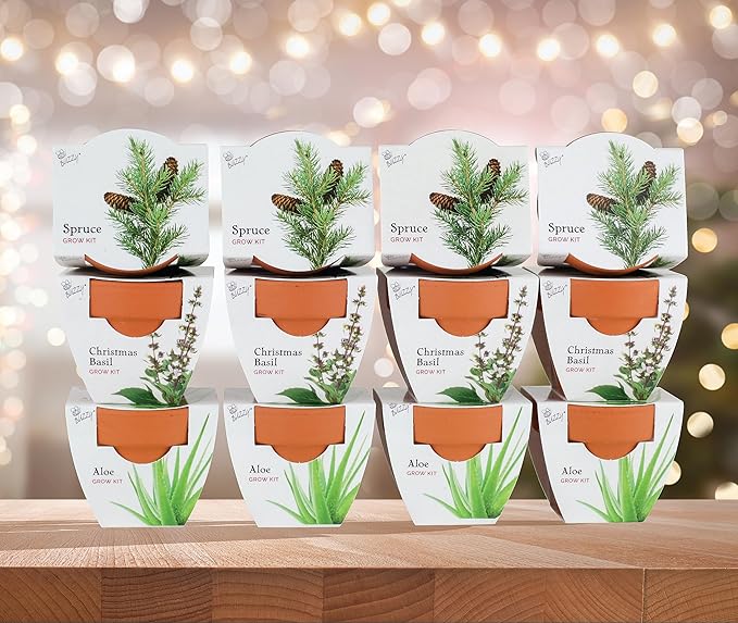 BUZZY Seeds Terracotta Mini Grow Pots | Herb, Plant, Flower Starter Kit for Kids & Adults | Assorted 12-Pack, Radiant Collection | Guaranteed to Grow | Best Indoor Grow Your Own Plant Gardening Gift
