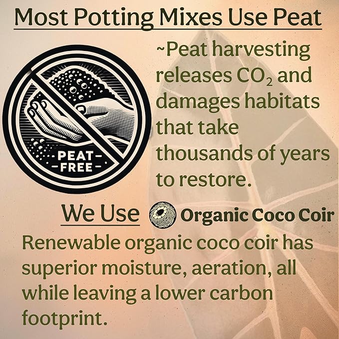 Craft Aroid Potting Mix- Elite Alocasia, Philodendron, Monstera Soil Mix, Chunky, Well Draining Potting Soil for Indoor Plants, All Tropical Plants & Houseplants, Synthetic & Peat Free 2QT