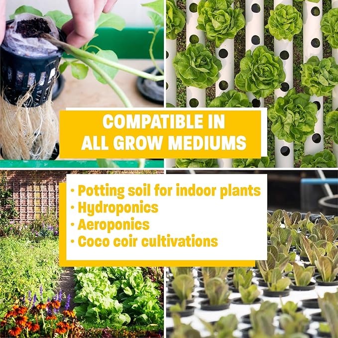 Humboldts Golden Tree: Best Plant Food for Plants & Trees - All-in-One Concentrated Additive - Vegetables, Flowers, Fruits, Lawns, Roses, Tomatoes & More (Box of 25 2-Ounce Bottles)