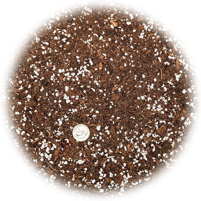 Premium House Plant and Tropical Plant Potting Soil - Re-Potting Soil for All Types of Indoor House Plants - 3 Quart