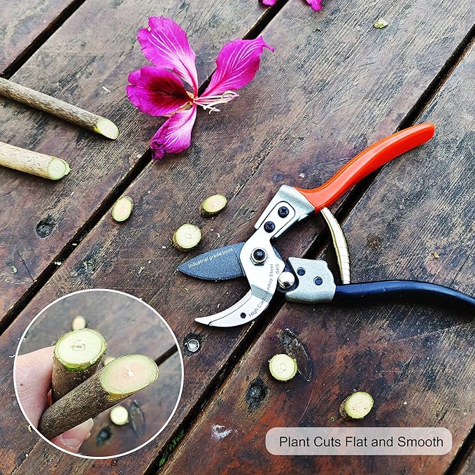 Anvil Pruning Shears [Made in Japan] Professional 8 Inch Heavy Duty Garden Shears Secateurs with Ergonomic Handle, Hand Pruners Gardening Hedge Trimmer Branch Clippers for Plants