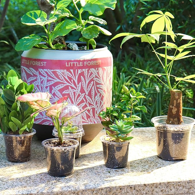 Bonviee 36 Packs 3.5/4/5 Inch Clear Nursery Pots with Humidity Domes, Variety Sizes Seed Starting Pots with Drainage Holes, Transparent Garden Containers for Succulents, Flowers and Cactus-Clear