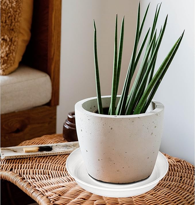 6 Pack of 8 inch Plant Saucer Clear, Heavy Duty Plastic Plant Water Tray 8 inch Round, Flower Plant Saucers for Indoors No Holes, Plant Dishes Saucer for Planter 7"/8" (8", Clear)