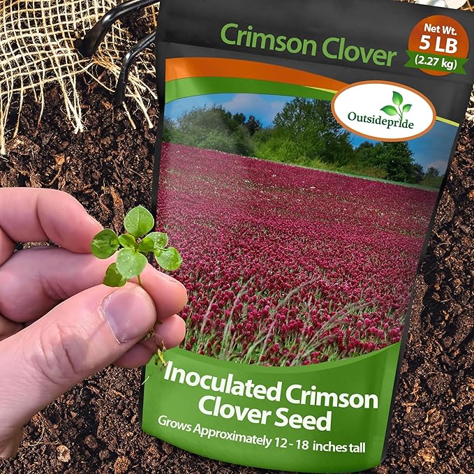 Outsidepride Crimson Clover Seeds - 5 lbs. Annual, Nitrocoated, & Inoculated Ground Cover Seeds, Ideal Clover Seed for Lawn, Cover Crop, Pasture, Hay, Green Manure & Wildlife Forage