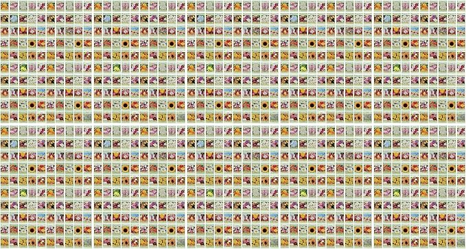 Black Duck Brand Set of 1000 Flower Seed Packets! Flower Seeds in Bulk - Best Value Seeds - Great for Classrooms, Beginner Gardeners and Kids! - Deluxe Varieties! (1000)