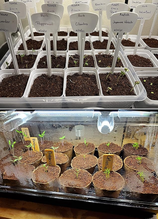 20 QT Professional Grade Horticultural Organic Vermiculite (20 QT, Vermiculite)