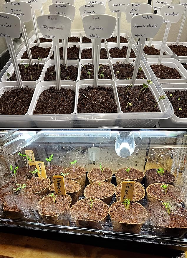 2 QT Professional Grade Horticultural Organic Vermiculite (2 QT, Vermiculite)