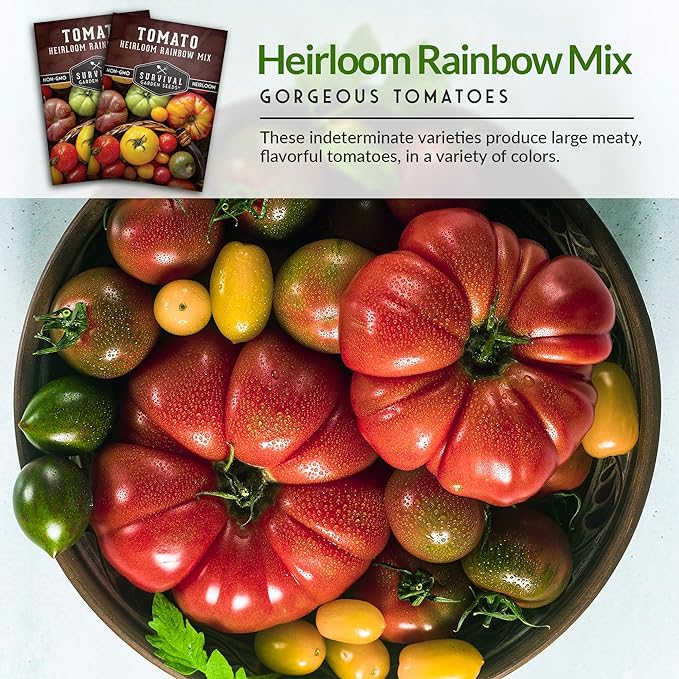 Survival Garden Seeds - Heirloom Rainbow Mix Tomato Seed for Planting - 2 Packets with Instructions to Plant and Grow in Your Home Vegetable Garden - Non-GMO Heirloom Variety - 2 Packs