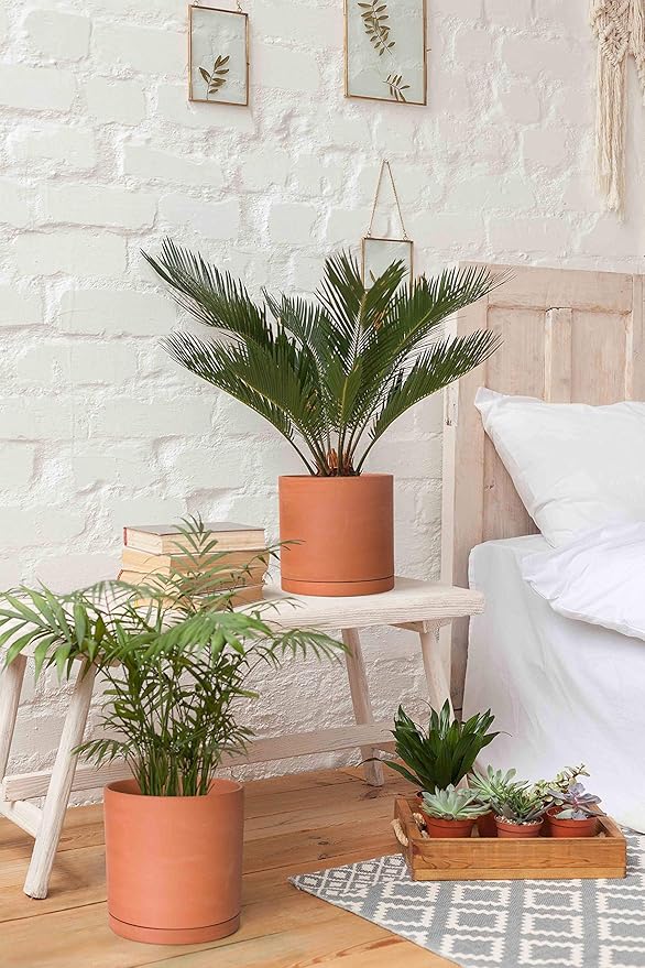 D'vine Dev Terracotta Pots for Plants, 7.8 Inch 9.6 Inch 12 Inch, Round Cylinder Planter Pot with Drainage and Saucer, 40-T-D-0