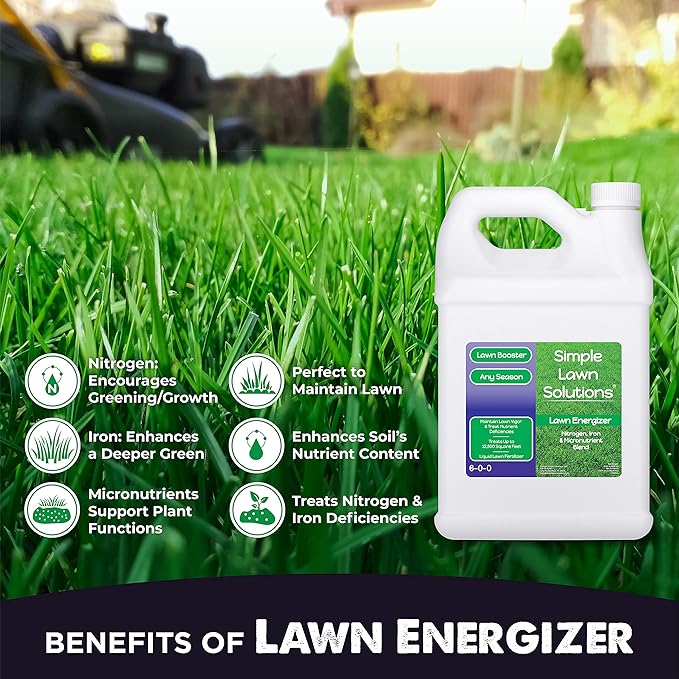 Simple Lawn Solutions - Ryan Knorr - Gallon Bundle- Lawn Essentials Bundle Box - 3 x 1 Gallon Set - Lawn Food 16-4-8 Fertilizer, Lawn Energizer Booster, Soil Hume- Seaweed, Humic Acid (Gallon Bundle)