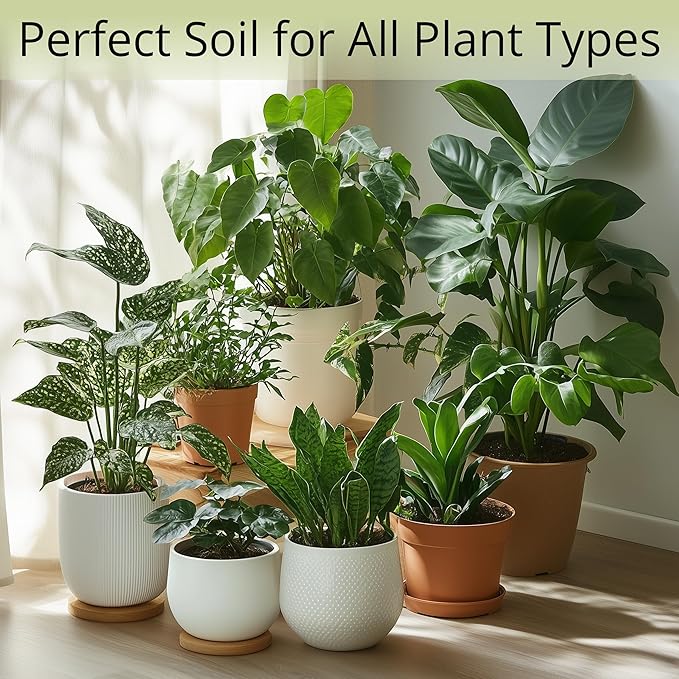 Bonsai Soil Discs for General Indoor Planting - Expands to 3.5 Quart (7.5 lb) | Premium Coconut Coir Well-Draining Expanding Soil Mix for Healthy Plants