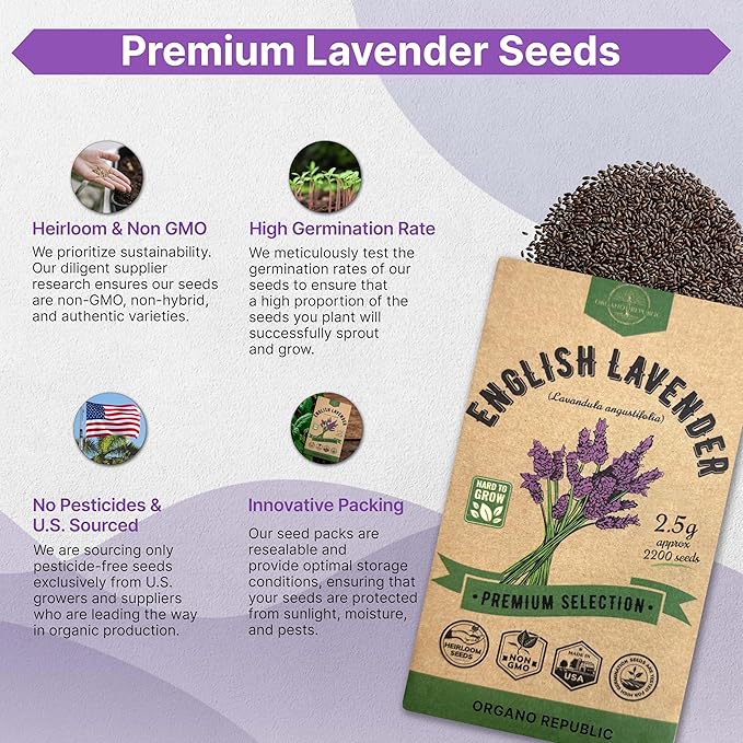 English Lavender Seeds Pack 2.50G - Over 2200 Non-GMO Heirloom Lavender Seeds for Planting Herbs in Individual Seed Packet, Herbs Seeds for Planting Home Garden Indoor & Outdoor Gardening