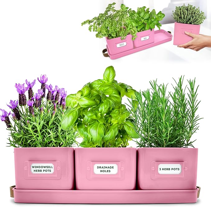 Herb Planter Indoor - Set of 3 Pink Indoor Herb Garden Pots for Plants with Leather Handled Tray - Window Sill Plant Shelf - Herb Pots with Drainage Holes and Labels