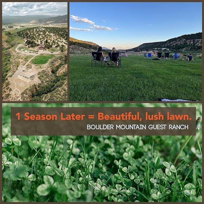 Micro Clover Seeds for Lawn - Microclover Seed for Planting - 1 oz. ~25,000 Seeds - Drought-Tolerant Mini Clover Seed - Grass Alternative Miniclover Seeds for Lawn - by Mountain Valley Seed Company…