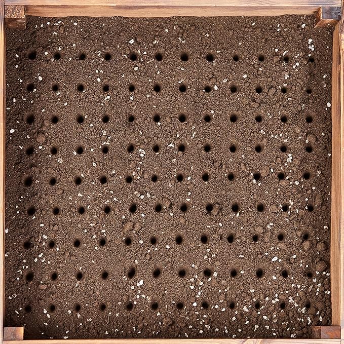 Seed Dibber, Multifunctional Seed Spacer Tool, Seed-in Soil Digger Garden Spacer aid for Planting Seeds Laying Out ideally Spaced Rows (Green)